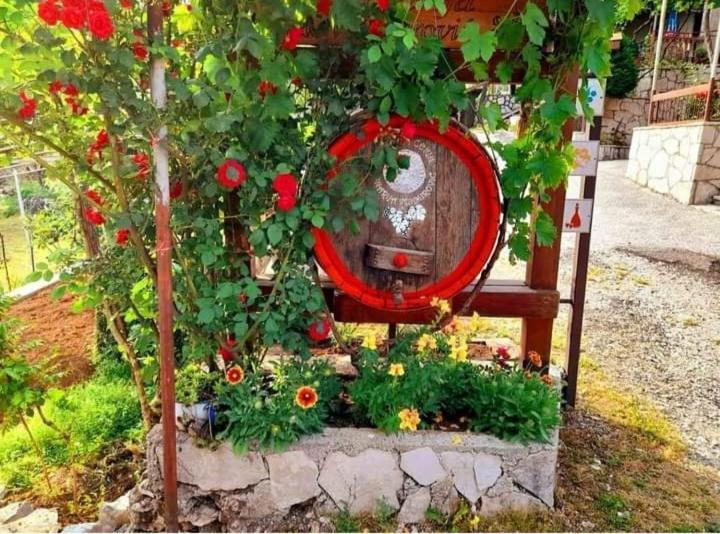Aleksa Guest House เซทินเจ ภายนอก รูปภาพ